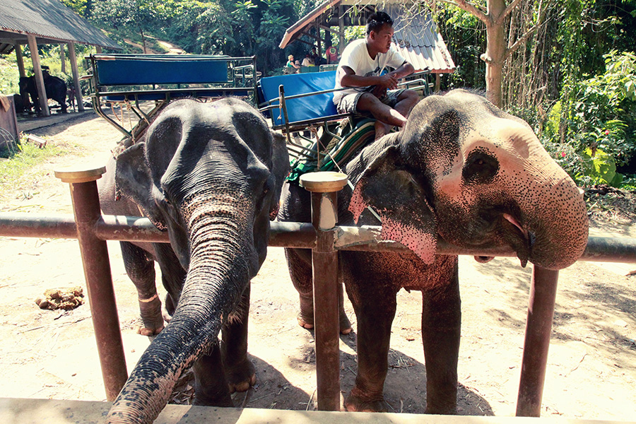 Urlaub in Khao Lak mit Kindern Travelisto FamilienReiseblog